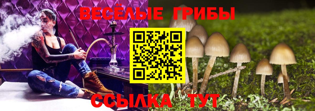 Батайск  как найти наркотики  Вход с VPN  Галлюциногенные грибы Psilocybe 