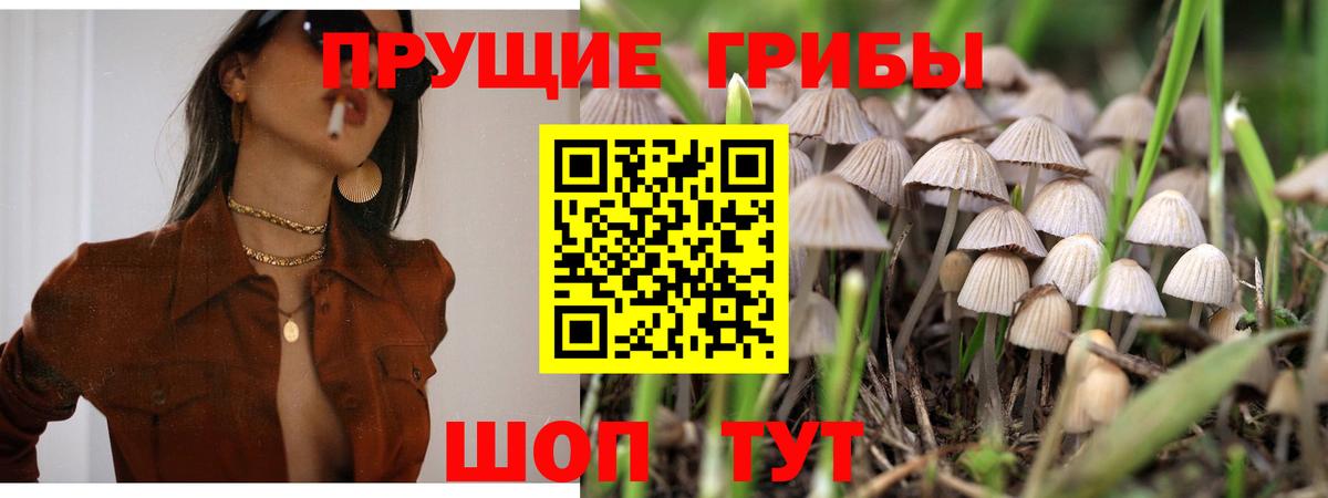 Галлюциногенные грибы Psilocybe Батайск
